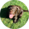 Waverli Brown Avatar