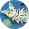 Kat Avatar