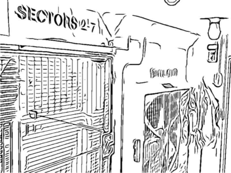 Team celebrating after escaping The Bunker